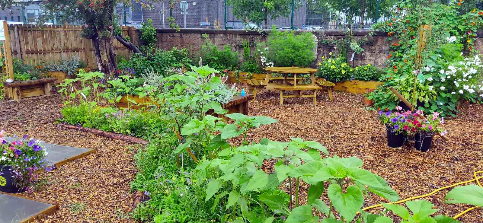 Blantyre Miners Community Garden Blantyre Telegraph News for Blantyre